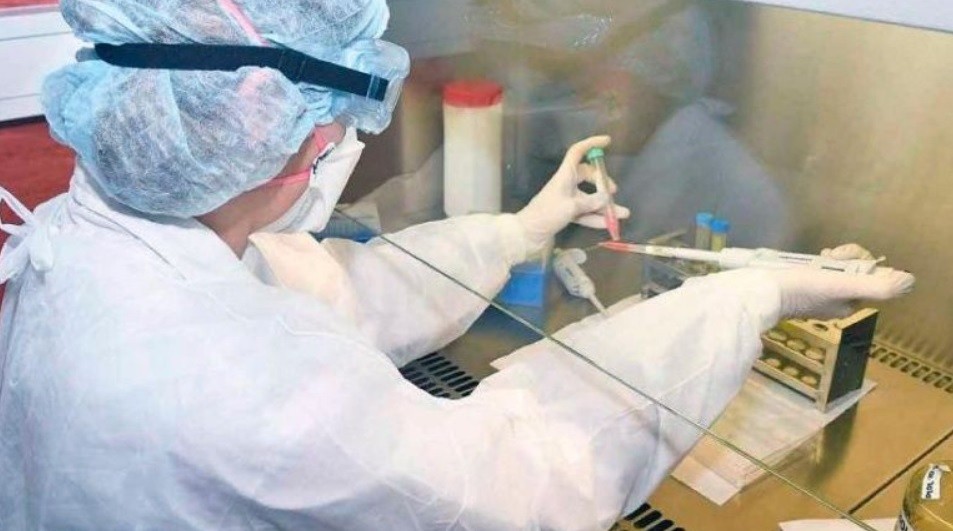 Coronavirus: científicas argentinas identifican la secuencia genética de 26 cepas | Actualidad