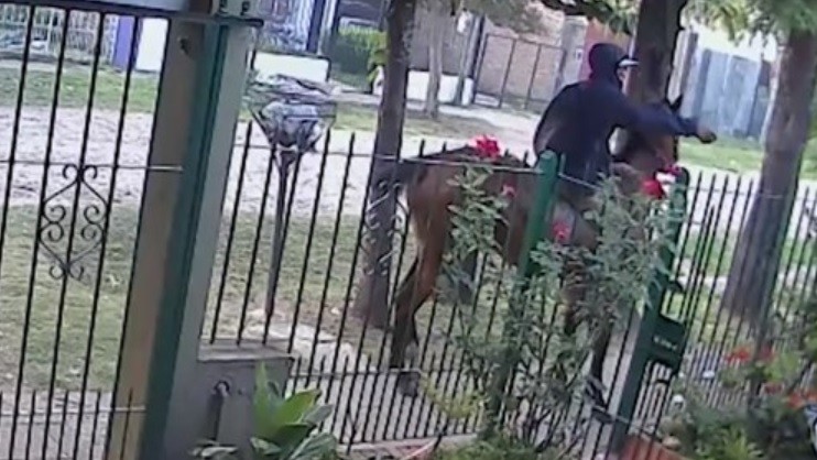 Atacante a  caballo, y con tapabocas, baleó a una persona y huyó | Actualidad