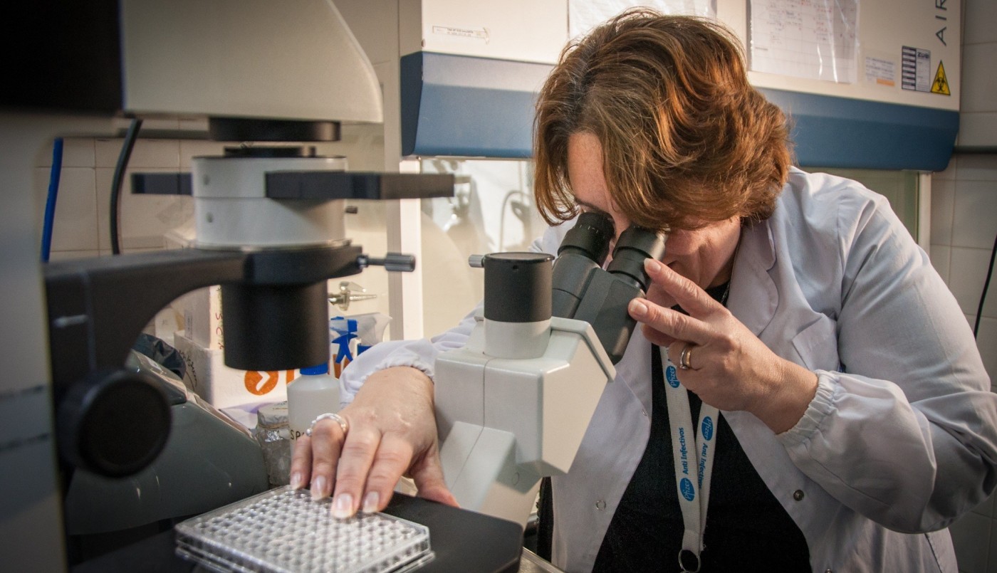 Científicos argentinos avanzan en la obtención de anticuerpos de animales contra el Covid-19 | Actualidad