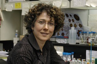 Aplicarán un test para detectar anticuerpos contra el Covid-19 desarrollado por científicos argentinos | Actualidad