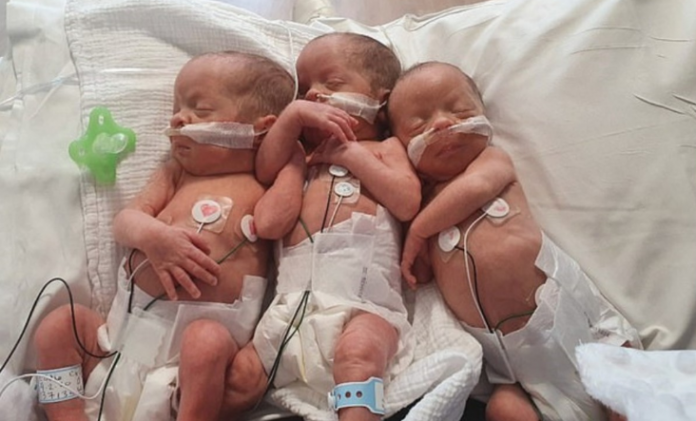 Los "trillizos de Gales" que tuvieron un parto histórico | Curiosidades