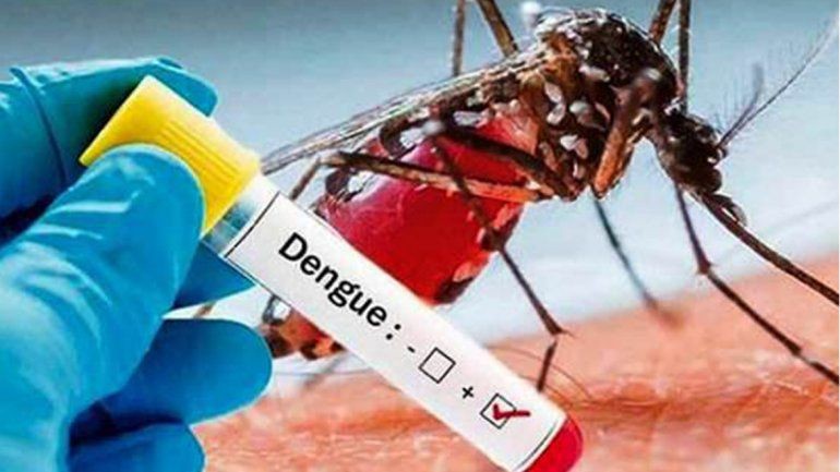 Jujuy atraviesa el mayor brote de dengue de su historia con 3.308 casos | Actualidad