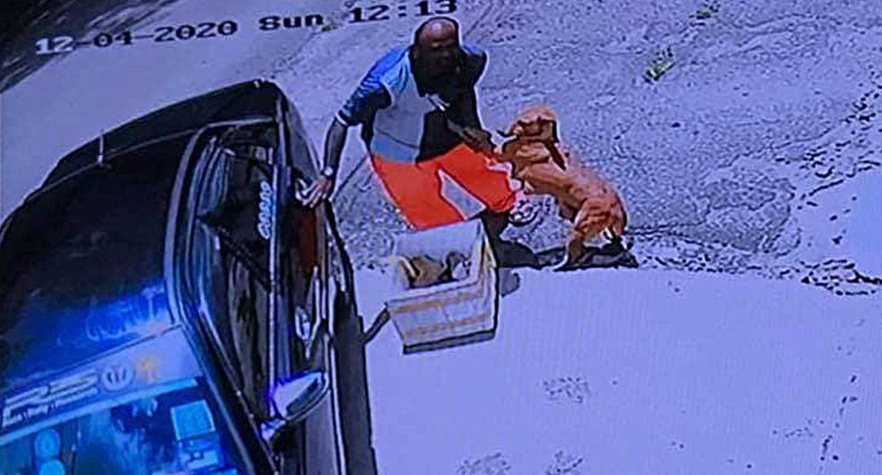 Una perra es abandonada junto a sus cachorros, pero igualmente abraza a su dueño | Curiosidades