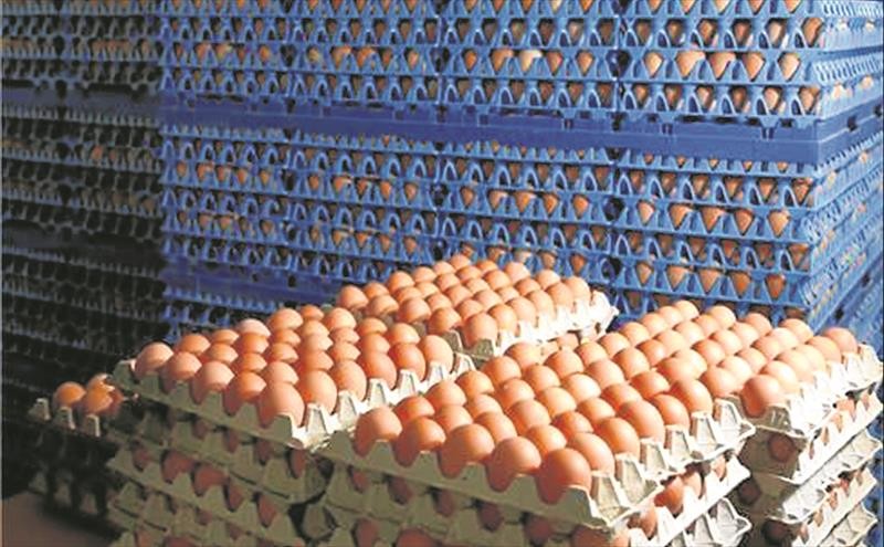 Denuncian una "mafia del huevo" que amenaza a inspectores cuando controlan los precios | Actualidad