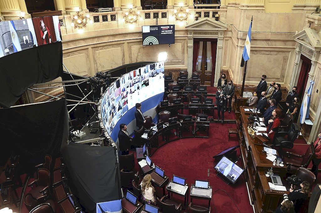 El Senado aprobó las primeras tres leyes a distancia en medio de la pandemia | Política y economía