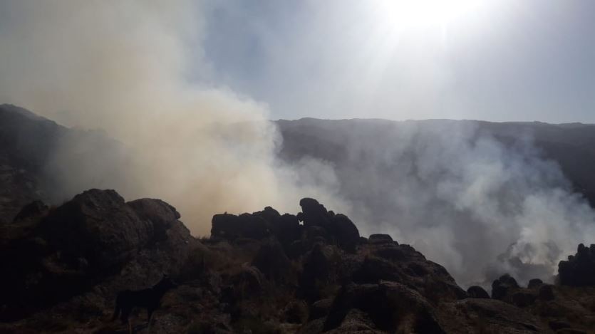 Con aviones y siete cuarteles de bomberos combaten incendios forestales en Alpa Corral | Córdoba