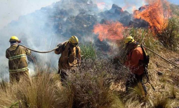 Hoy siguen con la guardia (y una copa) en alto: ¡Feliz Día del Bombero Voluntario! | Córdoba