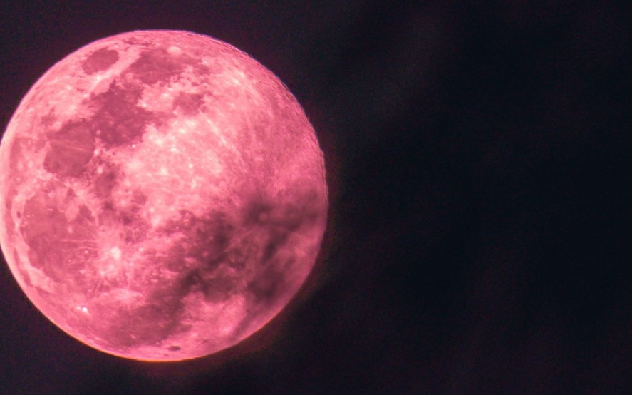 Cuándo se podrá ver en Argentina el eclipse de "Luna de fresa" | Actualidad