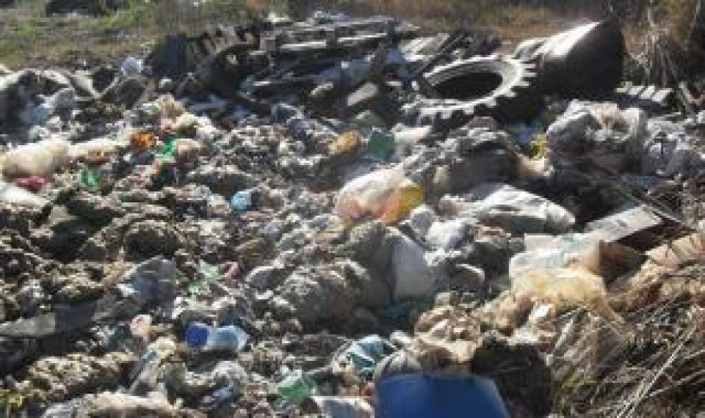 Violaciones al medio ambiente: Argentina deberá responder ante la OEA | Política y economía