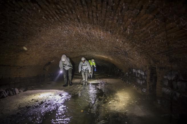 Un estudio detectó la presencia de coronavirus en aguas residuales de Barcelona en marzo de 2019 | Internacionales