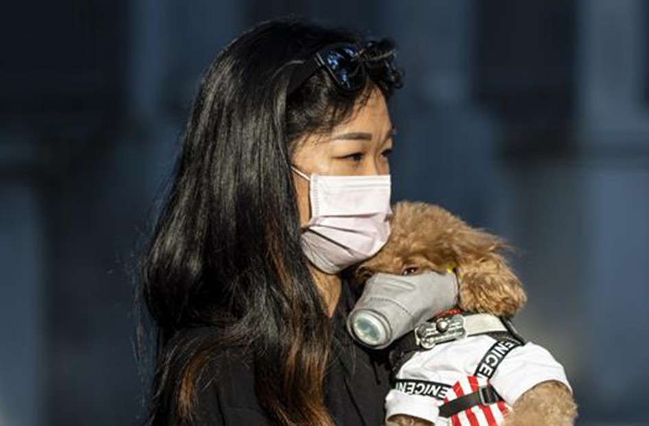 Hong Kong vuelve a cerrar las escuelas por un rebrote de coronavirus | Internacionales