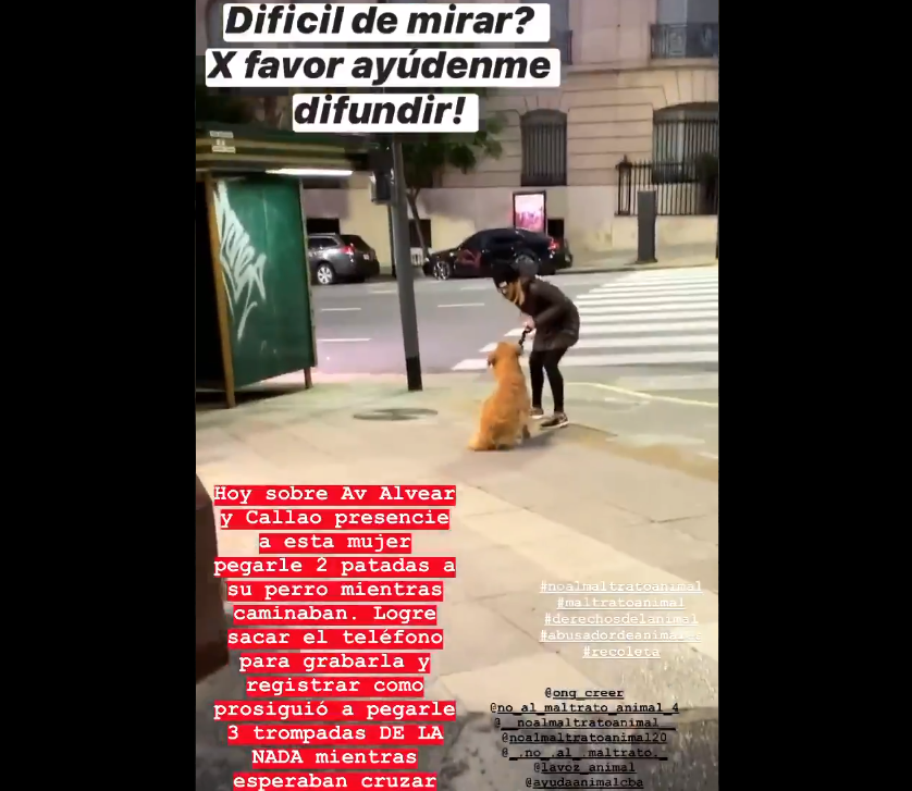 Maltrató a su perro en la calle, la filmaron e intervino la justicia | Actualidad