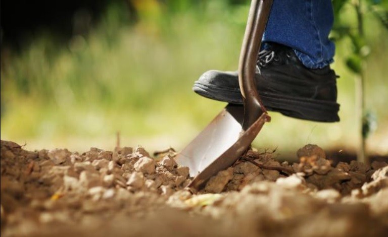 Cerró su joyería, escondió "tesoros" en lugares públicos y vende las pistas por internet | Actualidad