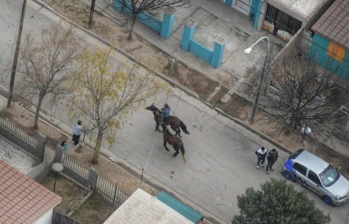 VIDEO: la cuadrera terminó al galope largo, así escaparon al llegar la policía | Córdoba