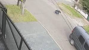 Video: la última imagen del repartidor asesinado por motochorros | Actualidad