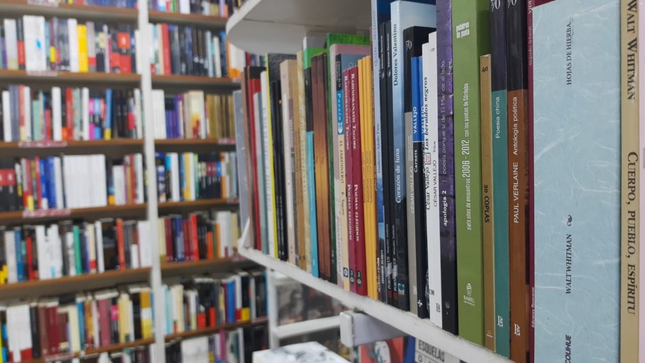 Efecto pandemia: crece el interés de niños y jóvenes por los libros | Córdoba