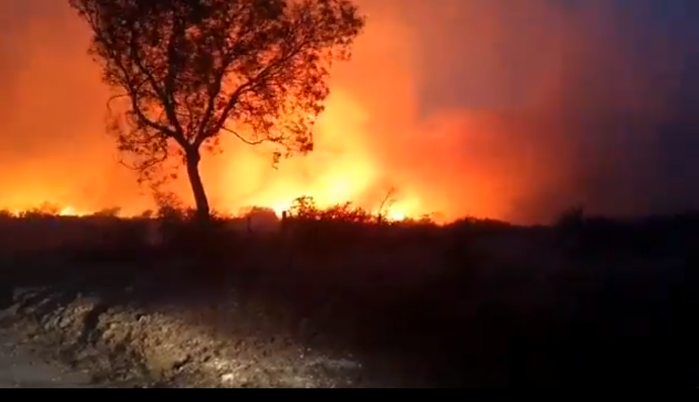 VIDEOS Y FOTOS:  así afectan los incendios a Córdoba | Córdoba
