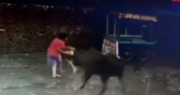 Video: a patadas, defendió a su hermanito cuando lo atacó un toro suelto en la calle | Internacionales