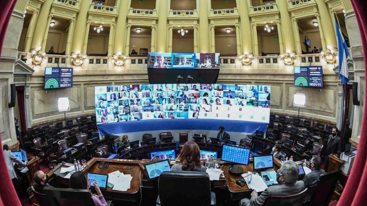 El oficialismo logró aprobar la moratoria ampliada en el Senado | Política y economía