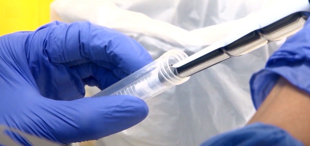 Santa Fe registró 382 nuevos casos de Covid-19 | Actualidad