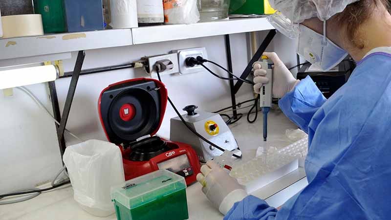 Entre Ríos: otra jornada con más de cien casos de coronavirus | Actualidad