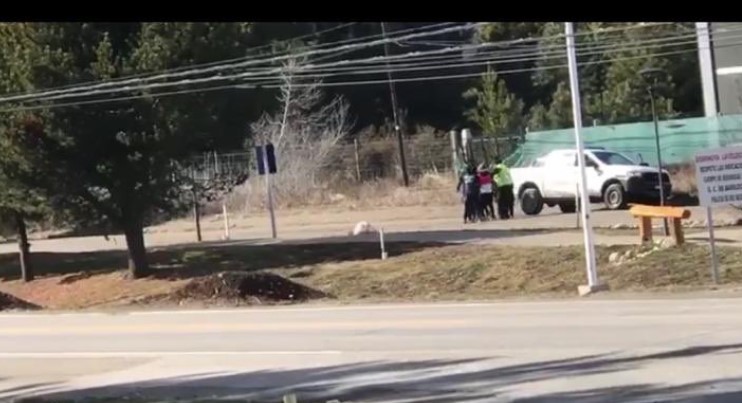 Bariloche: detuvieron a una mujer que salió a pasear el perro | Actualidad