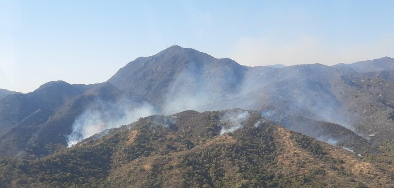Cuatro detenidos sospechados de causar incendios forestales en el Valle de Punilla | Córdoba