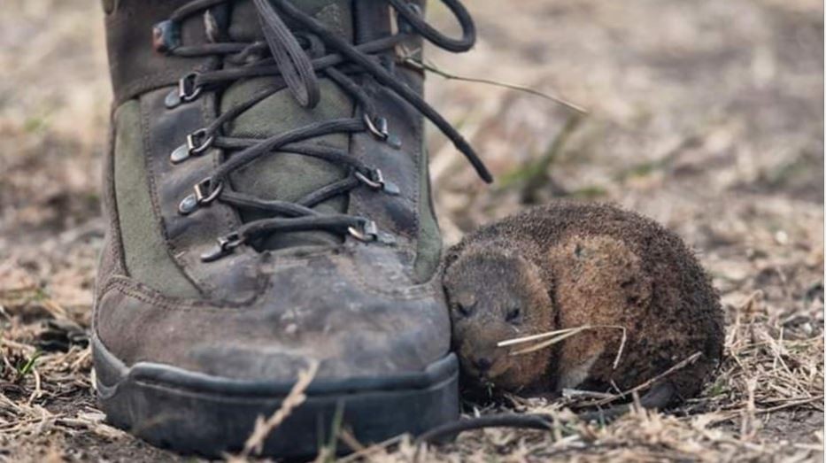 El reportero gráfico que conmovió al país con una foto del fuego en las islas del Delta del Paraná | Actualidad