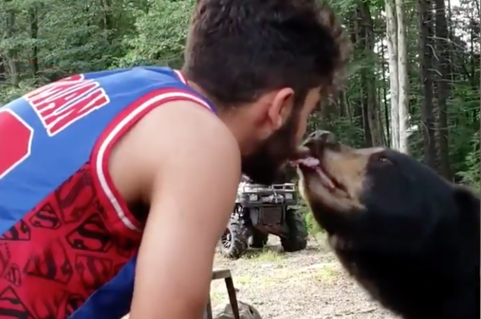 Video: crítica a un joven que alimentó de su boca a un oso | Redes