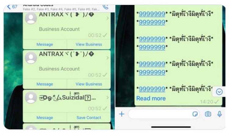 Alertan por un mensaje de WhatsApp que bloquea la aplicación | Redes