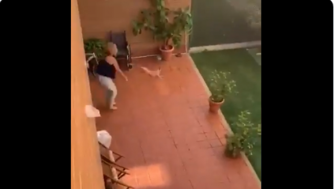 Video: el momento en que una mujer estampa a su perrito contra el piso | Actualidad
