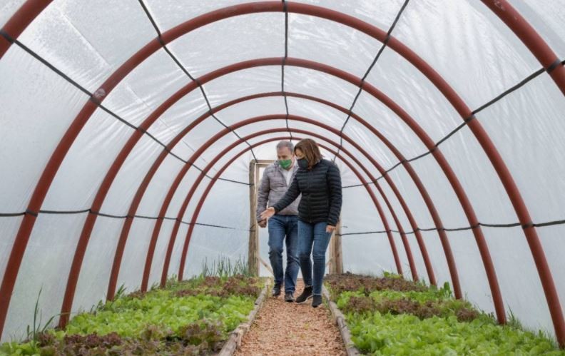 Río Negro: Construyen invernaderos solidarios para promover la soberanía alimentaria | Actualidad