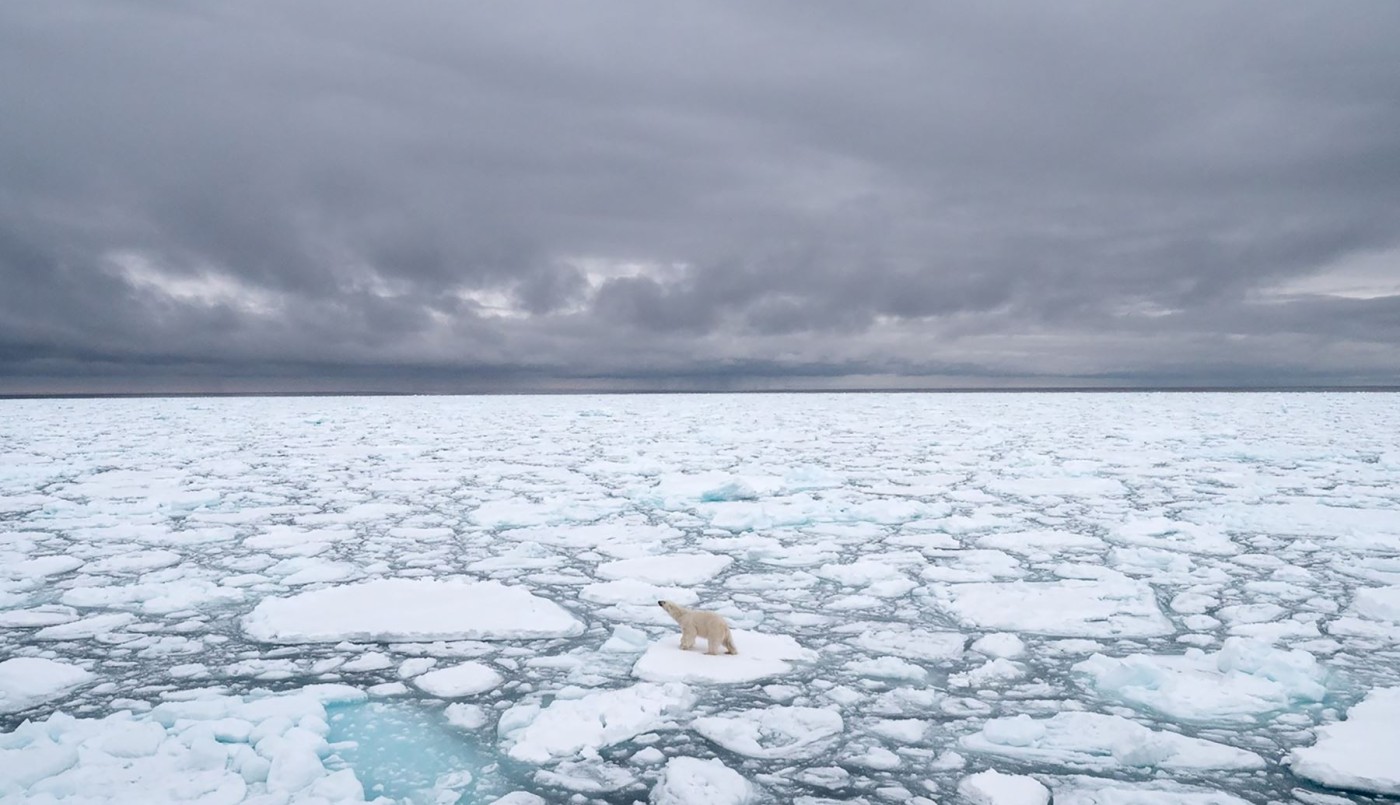 Calentamiento global: el casquete polar ártico alcanzó su segundo nivel más bajo desde que hay registro | Actualidad