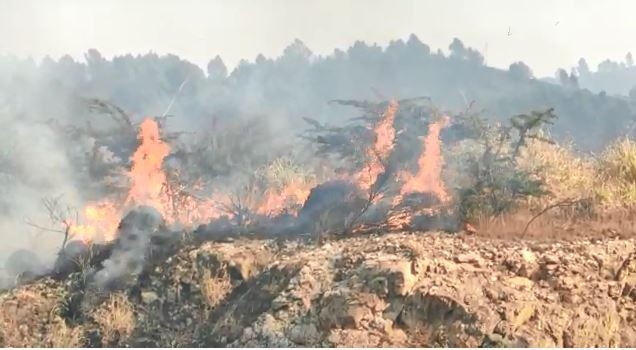 El fuego rodea el predio del Observatorio Astronómico de Bosque Alegre | Córdoba