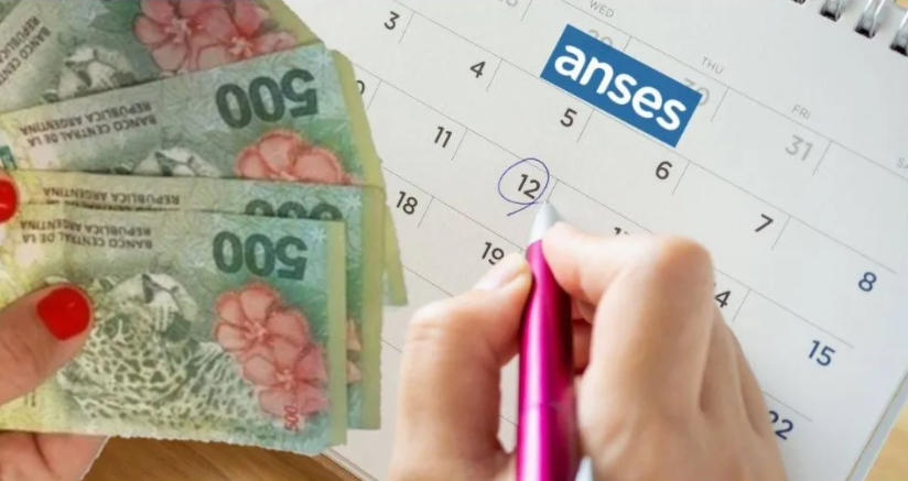 Conocé las limitaciones que tendrá el IFE en Octubre | Actualidad