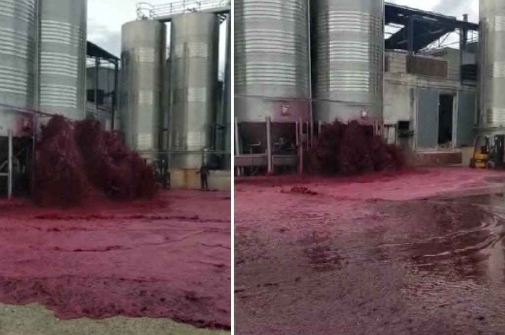 Traigan copas: el video viral de un río de vino tinto en una bodega | Redes