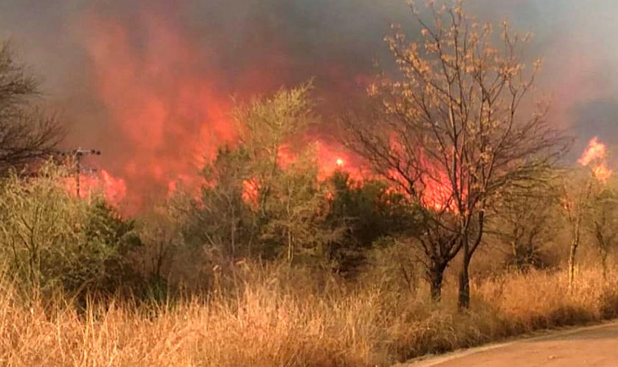 Incendios: bomberos combaten dos focos este domingo | Córdoba