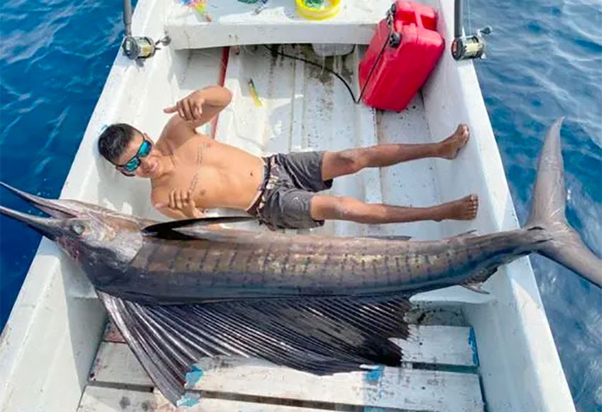 Selfie: pesca un enorme pez vela que lo supera en tamaño | Internacionales