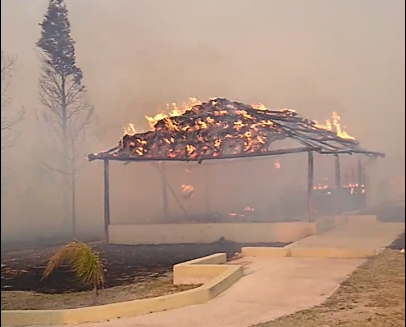 El fuego también llegó a Peko's y se quemaron los animales salvajes | Córdoba
