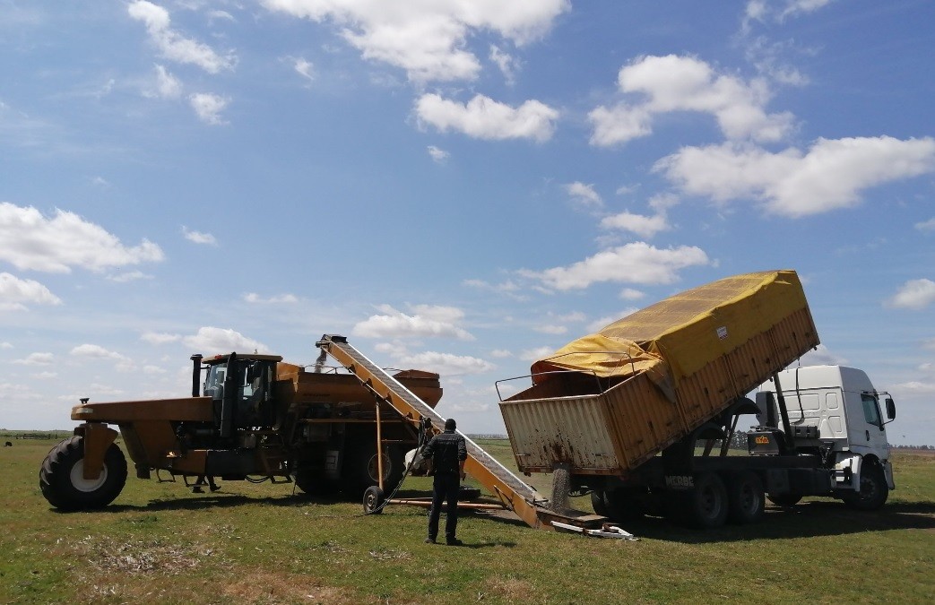 El Gobierno formalizó la baja temporal de retenciones a la soja | Política y economía