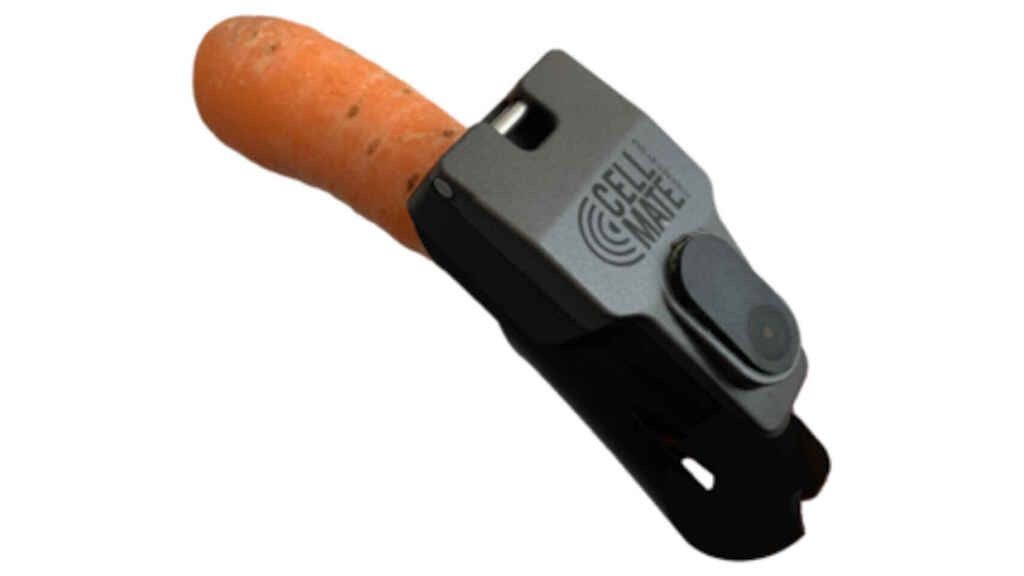 Hackeo de dispositivo de castidad masculina: dan secreto para desbloquearlo | Curiosidades