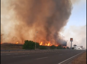 VIDEO: el momento en que el fuego y el humo rodearon a una estación de servicio | Córdoba