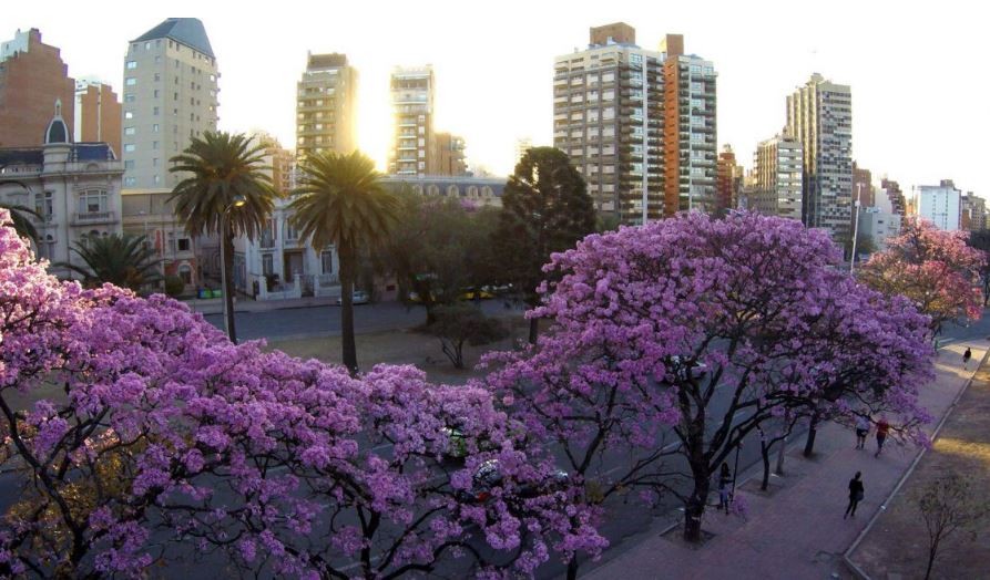 Calor y ambiente muy seco: mirá el pronóstico para este martes | Córdoba