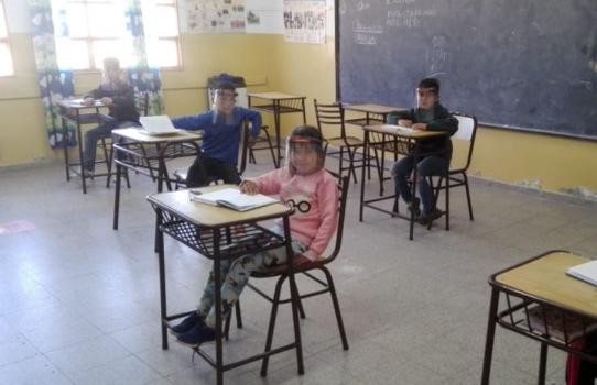 "La vuelta a las aulas debe ser un proceso ordenado”, afirman los pediatras | Actualidad