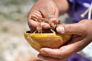 Día de las Mujeres Rurales: Destacan sus recetas como sostén de la riqueza cultural | Actualidad