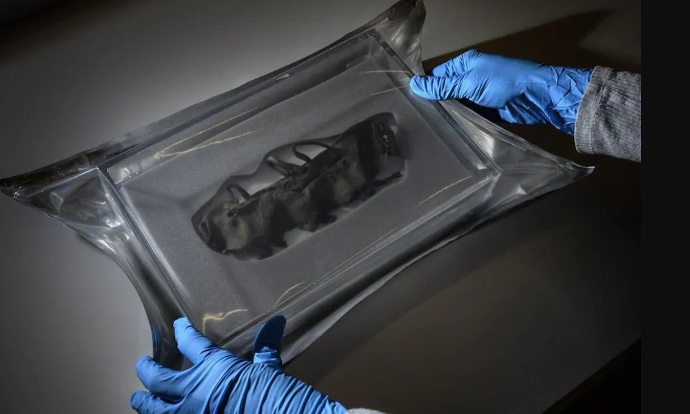 Deshielo en los Alpes deja al descubierto tesoros ocultos durante milenios | Curiosidades