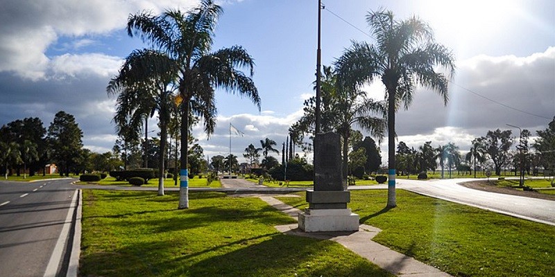 Santa Fe: murió un joven luego de que un árbol cayera sobre su cabeza | Actualidad