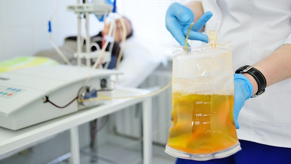 El municipio  de  Juárez Celman eximirá de impuestos a quienes donen plasma | Córdoba