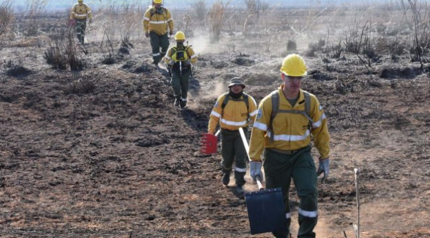 Diputados debate un proyecto para prohibir la venta de los predios forestales incendiados | Política y economía
