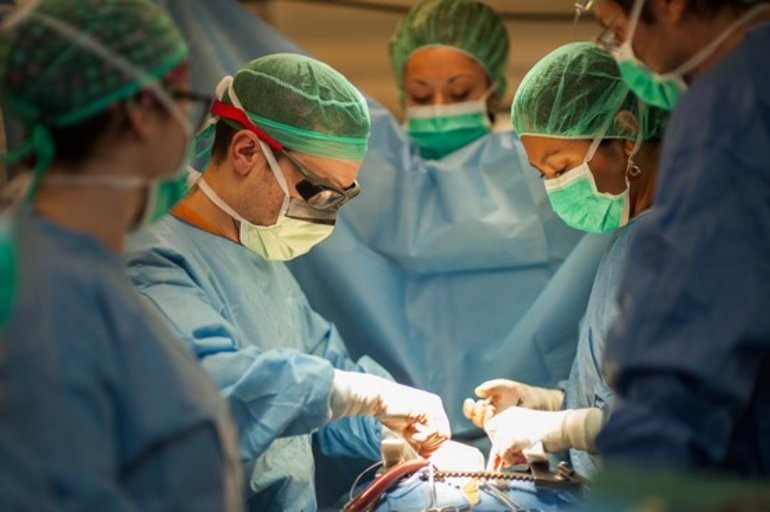 Se realizaron 530 trasplantes en lo que va de la pandemia | Actualidad